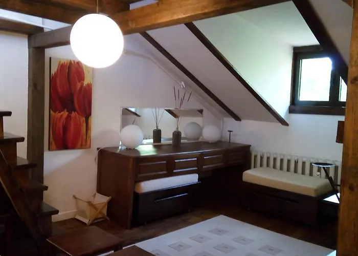 Mini Rest Apartament *